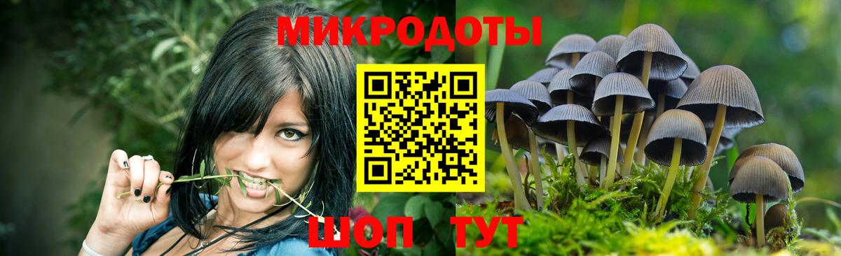 Псилоцибиновые грибы GOLDEN TEACHER  Вход с VPN  Дивногорск 